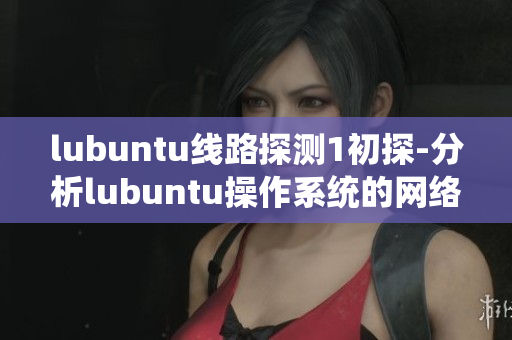 lubuntu线路探测1初探-分析lubuntu操作系统的网络状况