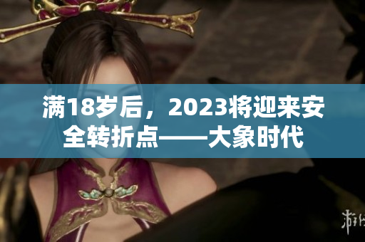 满18岁后，2023将迎来安全转折点——大象时代