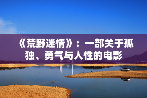 《荒野迷情》：一部关于孤独、勇气与人性的电影