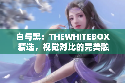 白与黑：THEWHITEBOX 精选，视觉对比的完美融合