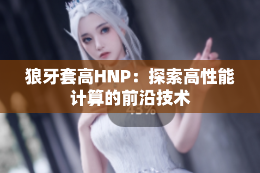 狼牙套高HNP：探索高性能计算的前沿技术