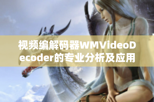 视频编解码器WMVideoDecoder的专业分析及应用推荐