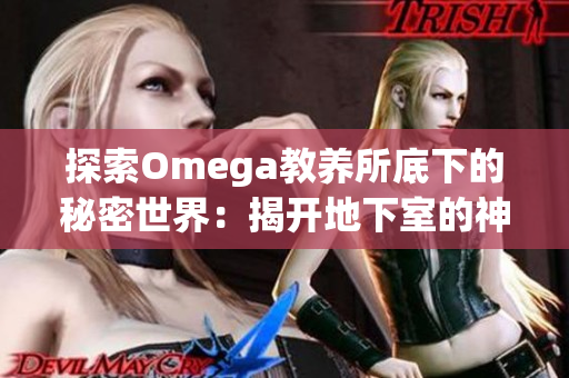 探索Omega教养所底下的秘密世界：揭开地下室的神秘面纱