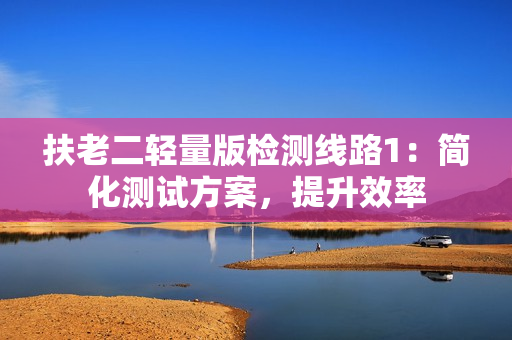 扶老二轻量版检测线路1：简化测试方案，提升效率