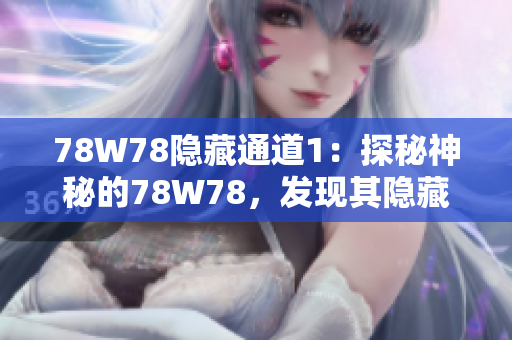 78W78隐藏通道1：探秘神秘的78W78，发现其隐藏之门