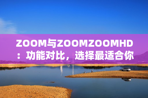 ZOOM与ZOOMZOOMHD：功能对比，选择最适合你的视频会议工具