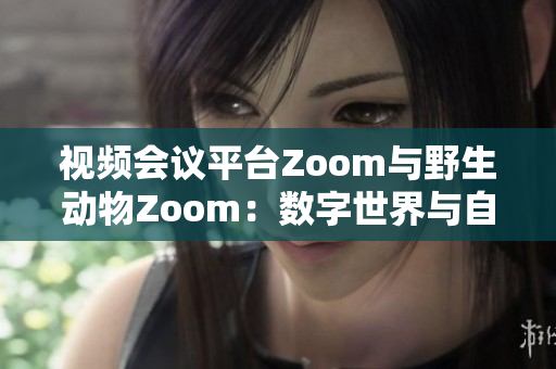 视频会议平台Zoom与野生动物Zoom：数字世界与自然界的交汇