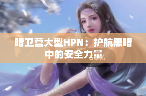 暗卫营大型HPN：护航黑暗中的安全力量