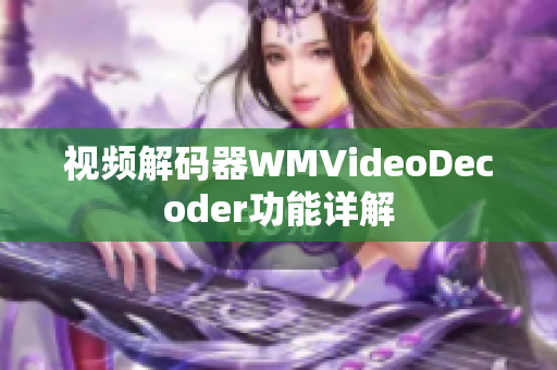 视频解码器WMVideoDecoder功能详解