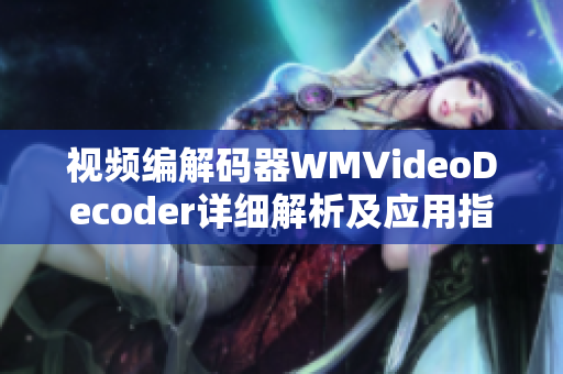 视频编解码器WMVideoDecoder详细解析及应用指南