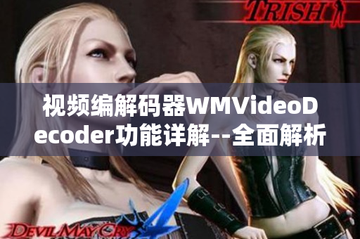 视频编解码器WMVideoDecoder功能详解--全面解析