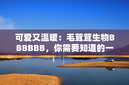 可爱又温暖：毛茸茸生物BBBBBB，你需要知道的一切