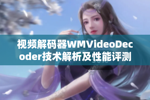 视频解码器WMVideoDecoder技术解析及性能评测