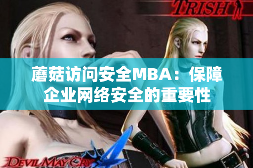 蘑菇访问安全MBA：保障企业网络安全的重要性