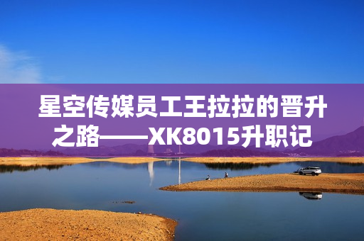 星空传媒员工王拉拉的晋升之路——XK8015升职记