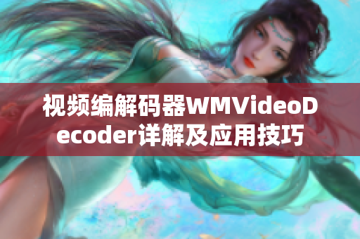 视频编解码器WMVideoDecoder详解及应用技巧