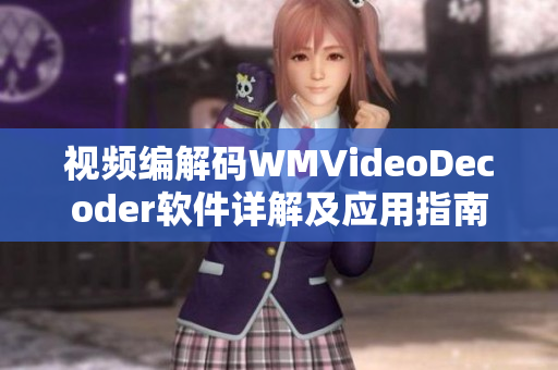 视频编解码WMVideoDecoder软件详解及应用指南