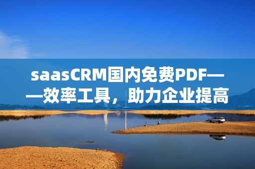 saasCRM国内免费PDF——效率工具，助力企业提高管理水平