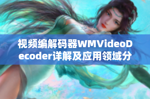 视频编解码器WMVideoDecoder详解及应用领域分析