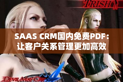 SAAS CRM国内免费PDF：让客户关系管理更加高效