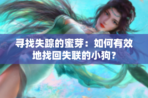 寻找失踪的蜜芽：如何有效地找回失联的小狗？