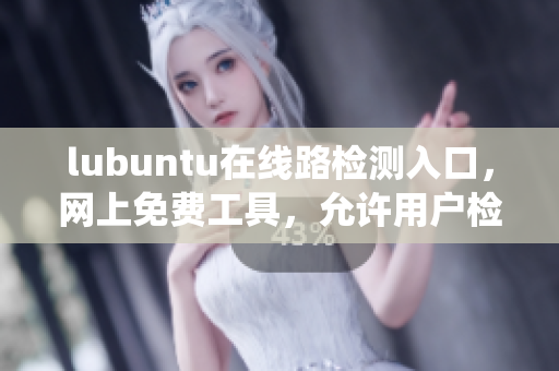 lubuntu在线路检测入口，网上免费工具，允许用户检测系统连通性