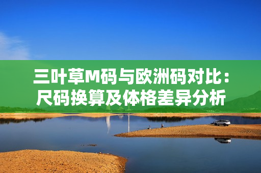 三叶草M码与欧洲码对比：尺码换算及体格差异分析