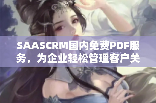 SAASCRM国内免费PDF服务，为企业轻松管理客户关系——全新解决方案揭秘