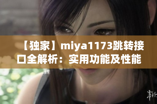 【独家】miya1173跳转接口全解析：实用功能及性能评测！