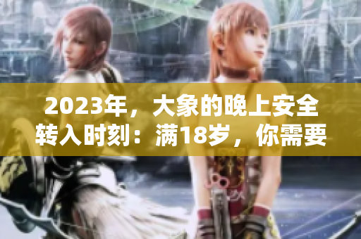 2023年，大象的晚上安全转入时刻：满18岁，你需要知道的关键细节