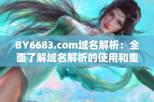 BY6683.com域名解析：全面了解域名解析的使用和重要性