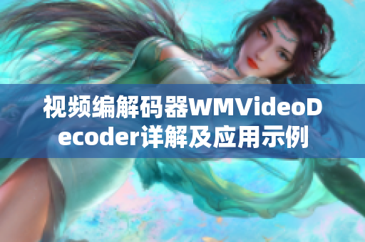 视频编解码器WMVideoDecoder详解及应用示例