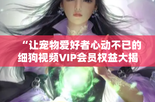 “让宠物爱好者心动不已的细狗视频VIP会员权益大揭秘，让您一次解锁全网精彩内容！”