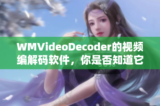 WMVideoDecoder的视频编解码软件，你是否知道它？