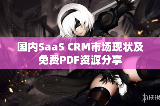 国内SaaS CRM市场现状及免费PDF资源分享