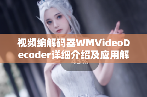 视频编解码器WMVideoDecoder详细介绍及应用解析