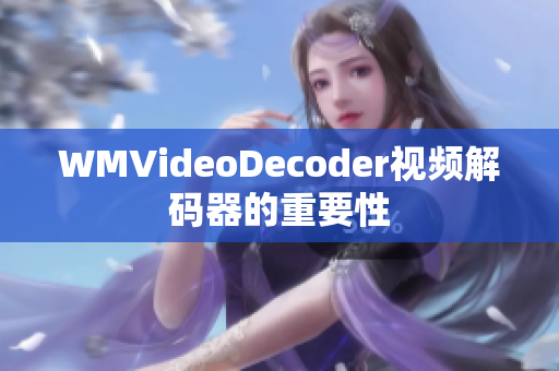 WMVideoDecoder视频解码器的重要性