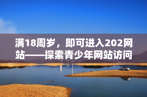 满18周岁，即可进入202网站——探索青少年网站访问政策变迁