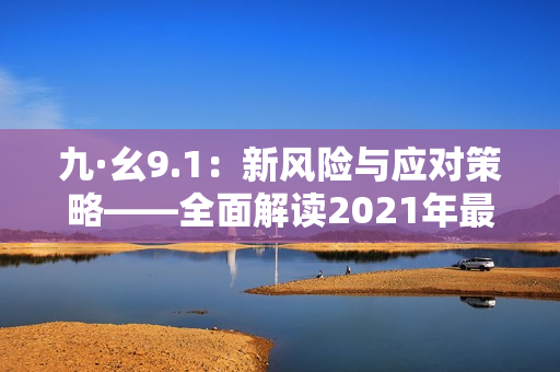 九·幺9.1：新风险与应对策略——全面解读2021年最新安全挑战