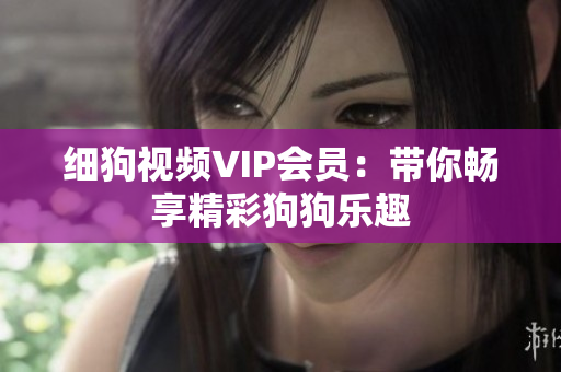 细狗视频VIP会员：带你畅享精彩狗狗乐趣