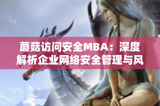 蘑菇访问安全MBA：深度解析企业网络安全管理与风险防范