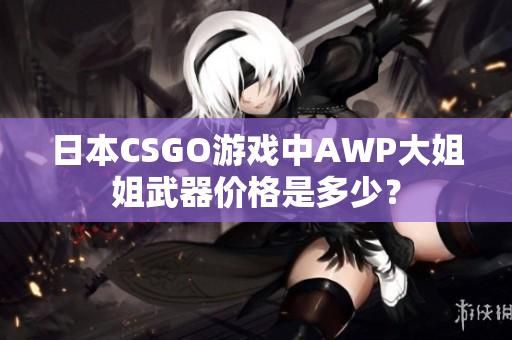 日本CSGO游戏中AWP大姐姐武器价格是多少？