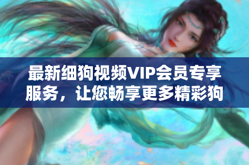 最新细狗视频VIP会员专享服务，让您畅享更多精彩狗狗视频内容！