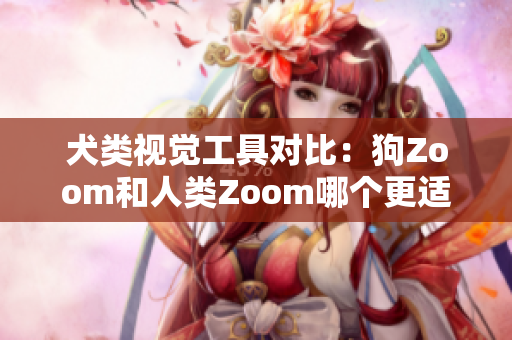 犬类视觉工具对比：狗Zoom和人类Zoom哪个更适合？